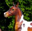Model Horses!